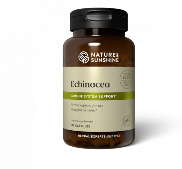 Echinacea
