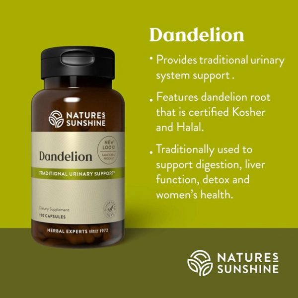 Dandelion - Image 2