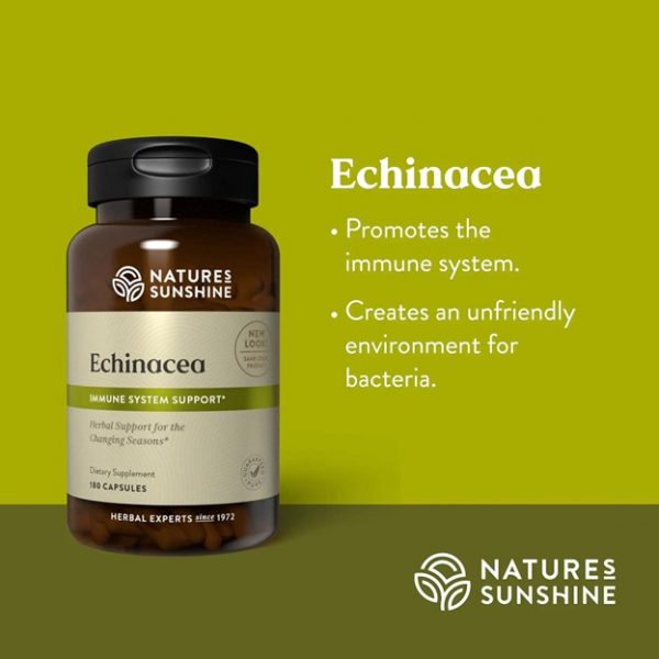 Echinacea - Image 2