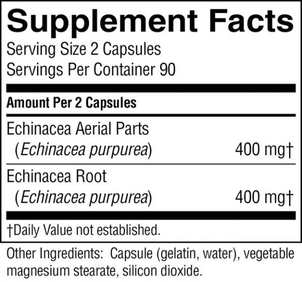 Echinacea - Image 4