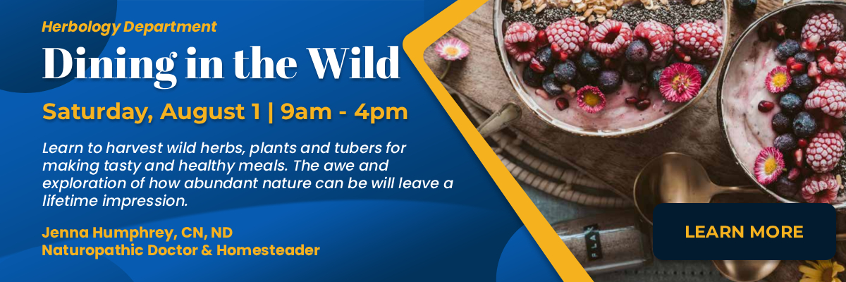dining-in-the-wild